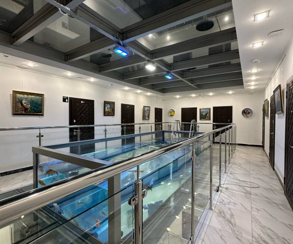 Аквариум Таукель Домбай 6 этаж 1